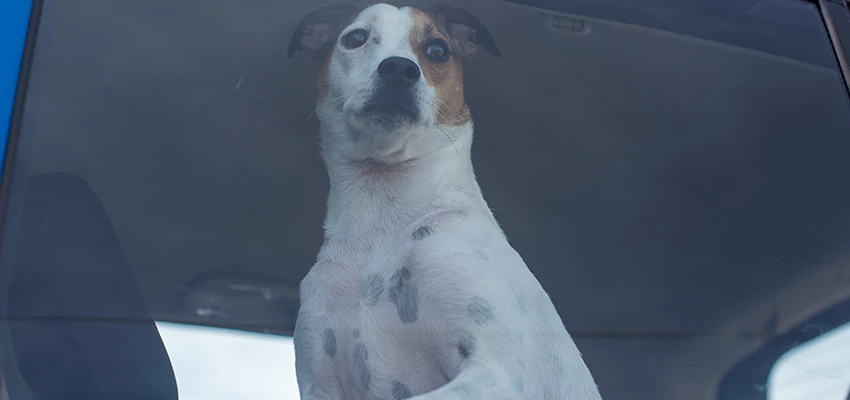 Car Lockout Solutions in Pomona, California