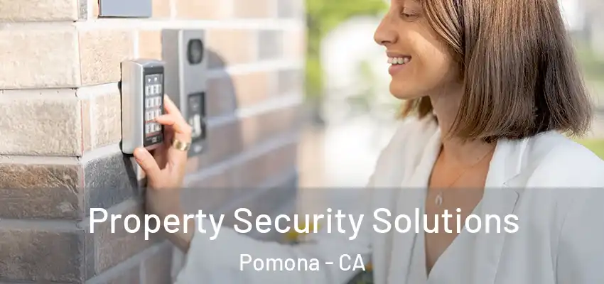  Property Security Solutions Pomona - CA
